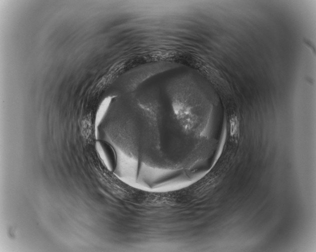 X0000102521011200808291752