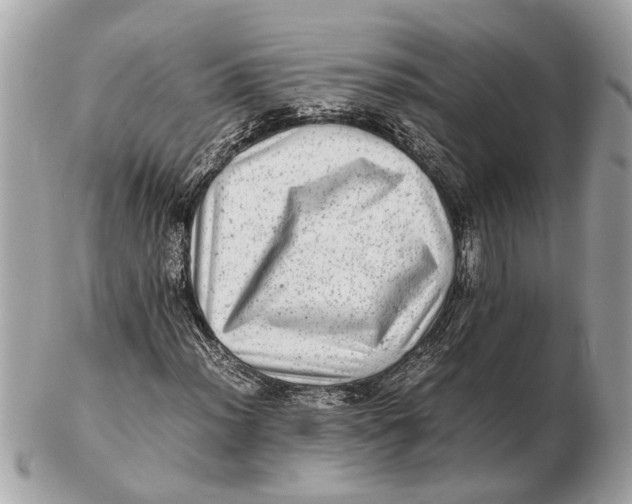 X0000102521012200808291752