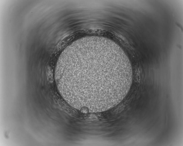 X0000102521013200808291752