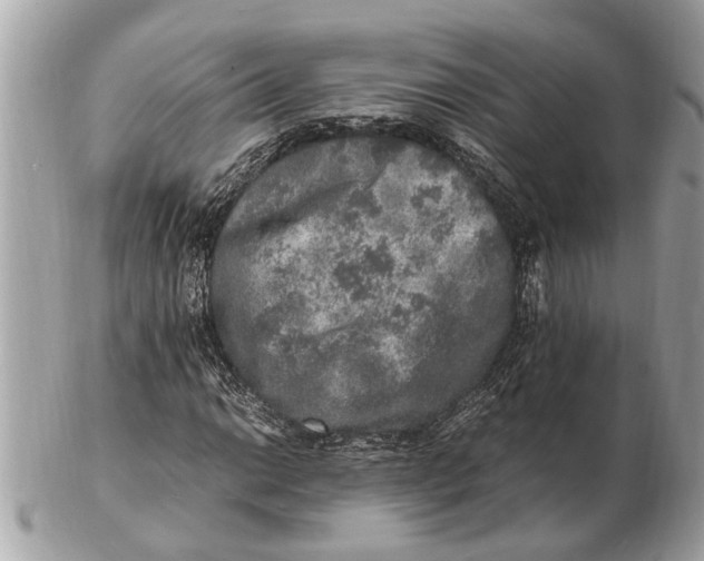 X0000102521014200808291752