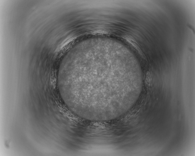 X0000102521015200808291752