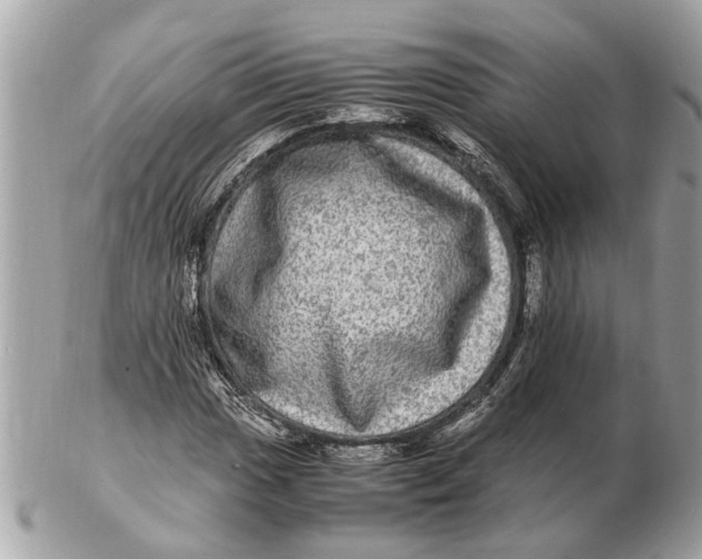 X0000102521017200808291752