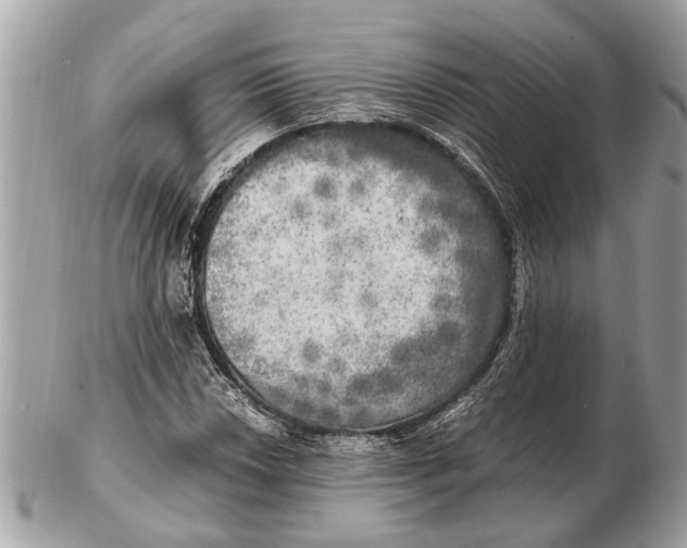 X0000102521018200808291752