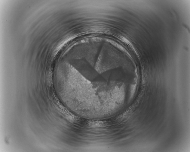 X0000102521019200808291752