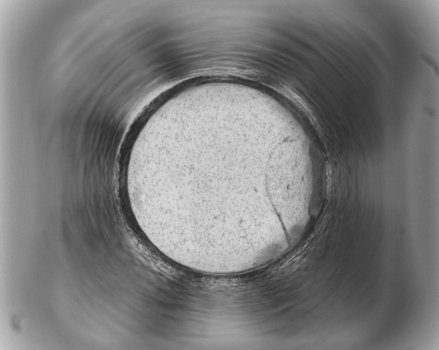 X0000102521020200808291752