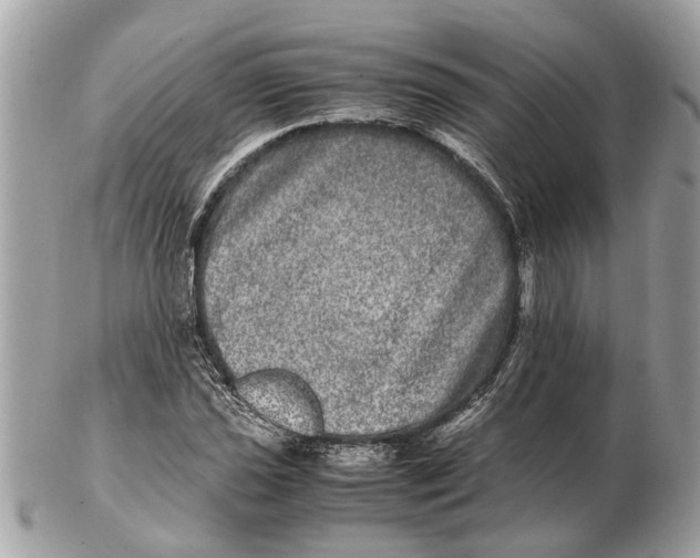 X0000102521021200808291752