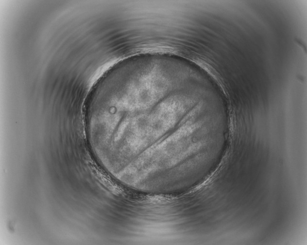 X0000102521022200808291752