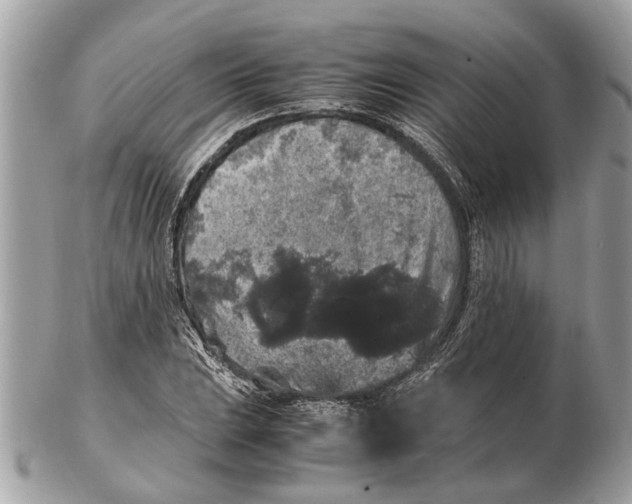 X0000102521023200808291752