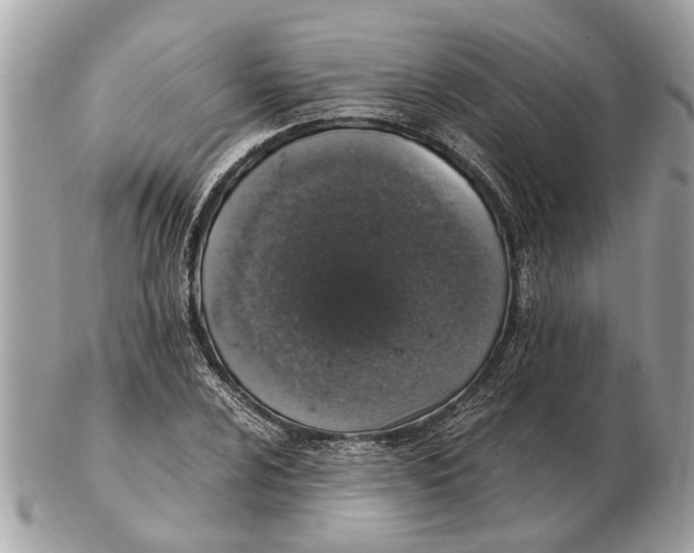 X0000102521024200808291752