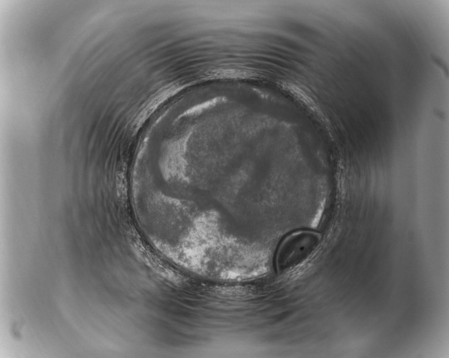 X0000102521025200808291752