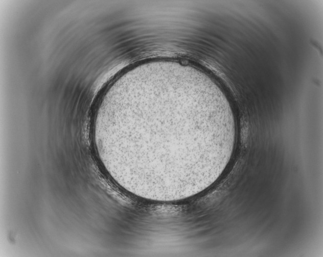 X0000102521026200808291752