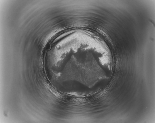 X0000102521027200808291752