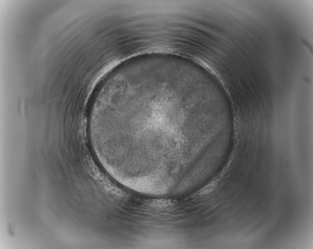 X0000102521029200808291752