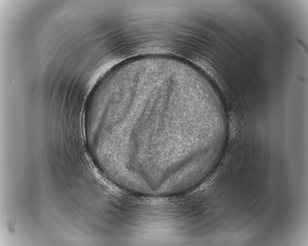 X0000102521030200808291752