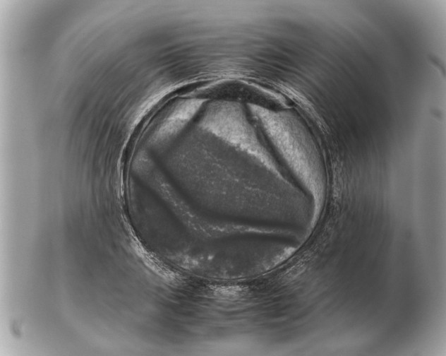 X0000102521031200808291752