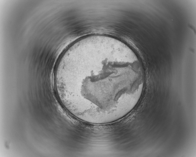 X0000102521032200808291752