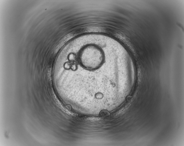 X0000102521033200808291752