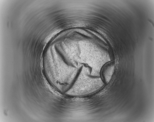 X0000102521034200808291752