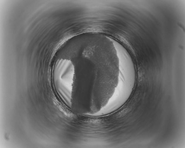 X0000102521035200808291752