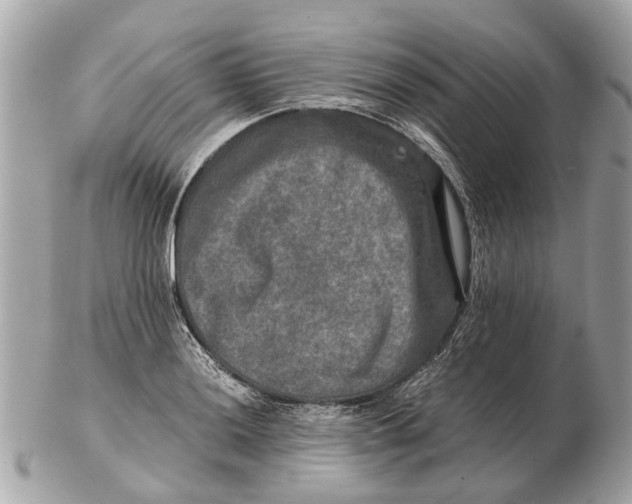 X0000102521036200808291752