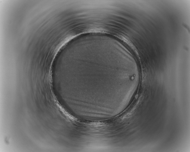 X0000102521037200808291752