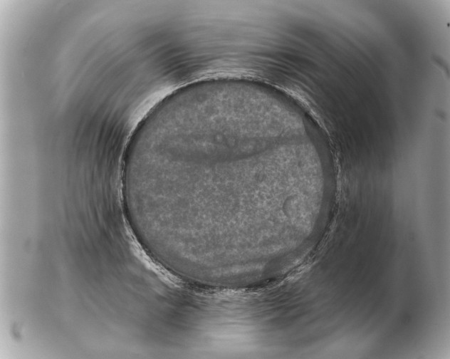 X0000102521038200808291752