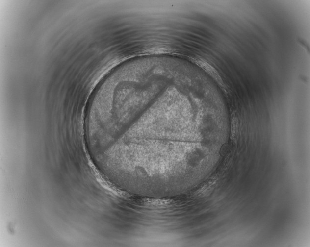 X0000102521039200808291752