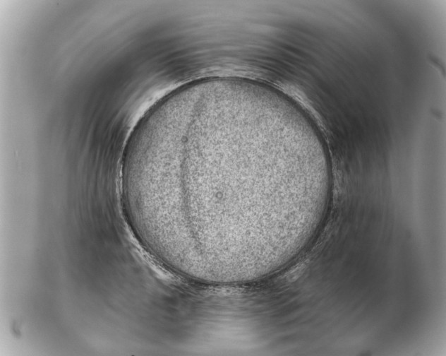 X0000102521040200808291752