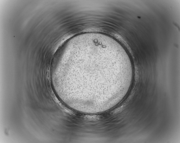 X0000102521041200808291752