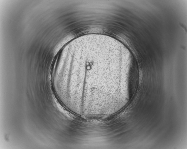 X0000102521042200808291752