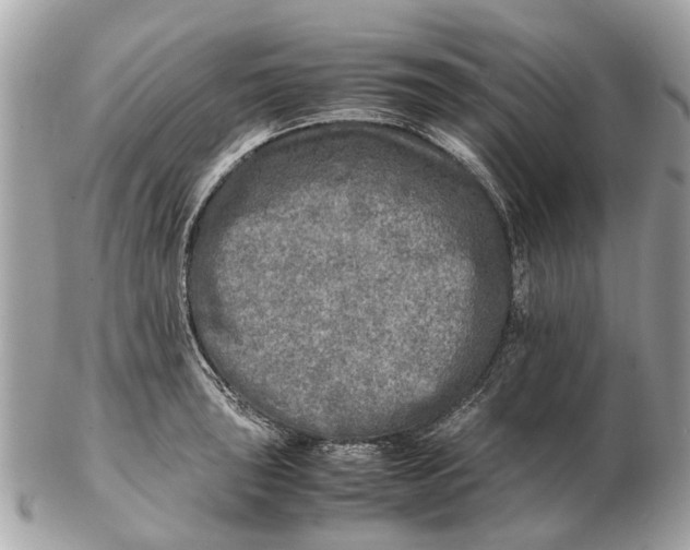 X0000102521043200808291752