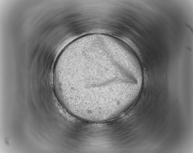 X0000102521044200808291752