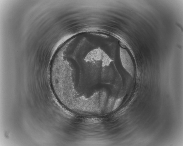 X0000102521045200808291752