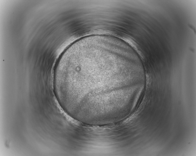 X0000102521046200808291752