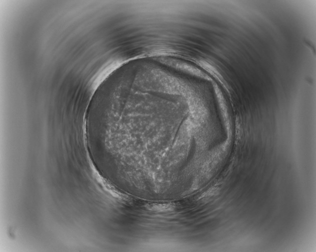 X0000102521047200808291752