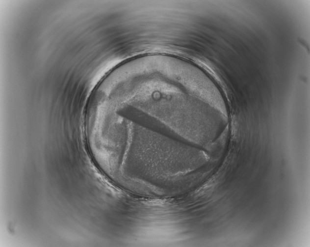 X0000102521048200808291752