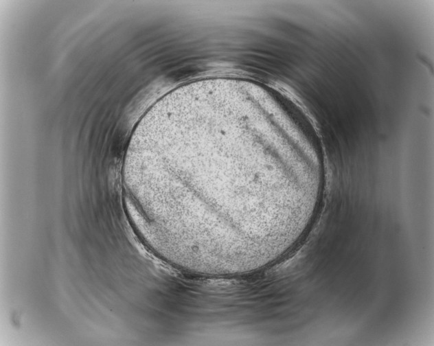 X0000102521049200808291752