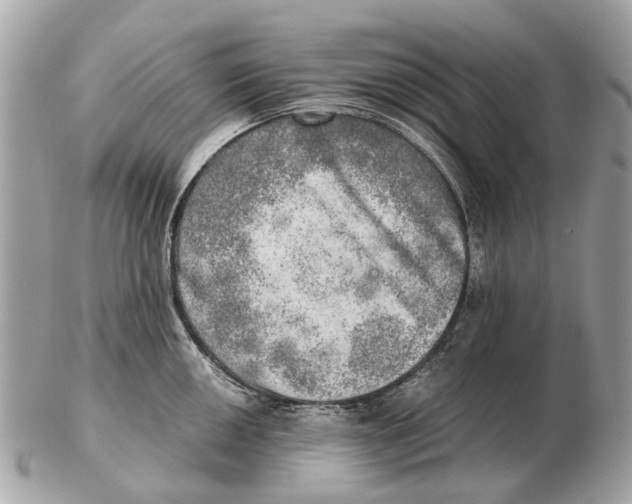 X0000102521050200808291752