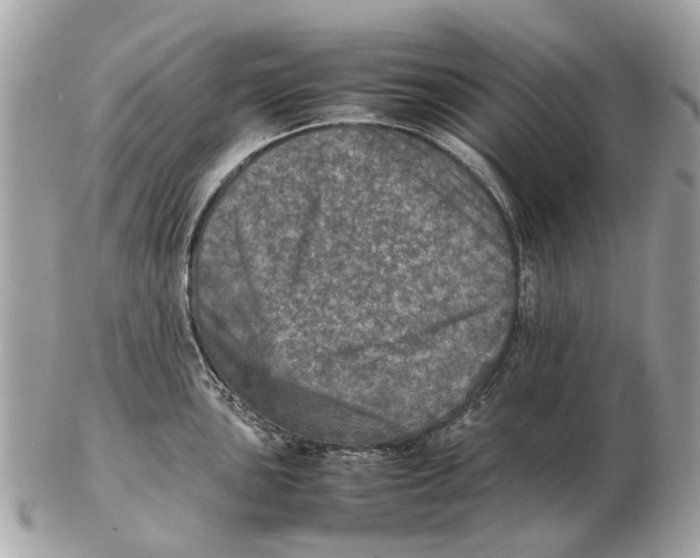 X0000102521051200808291752