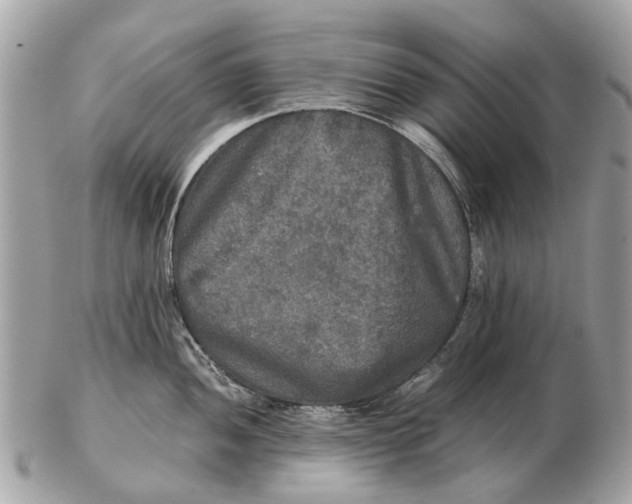 X0000102521052200808291752