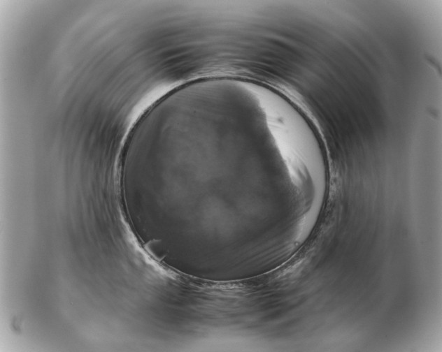 X0000102521053200808291752