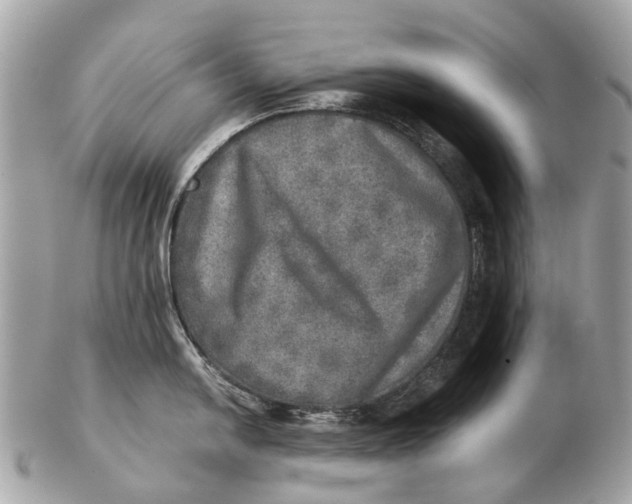 X0000102521054200808291752