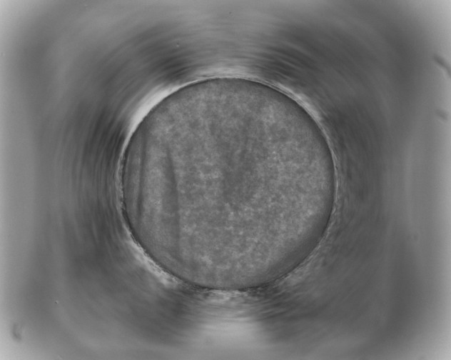 X0000102521056200808291752