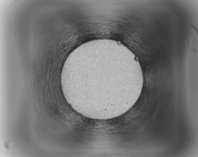 X0000102521057200808291752