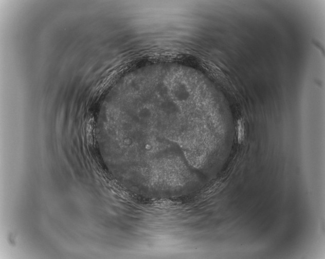 X0000102521059200808291752