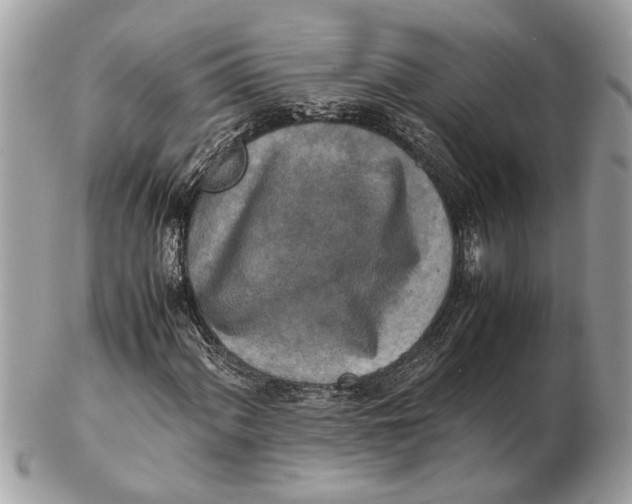 X0000102521060200808291752