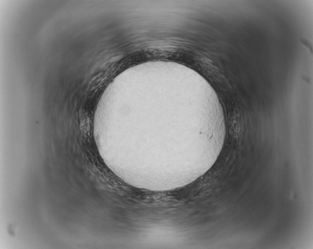 X0000102521061200808291752