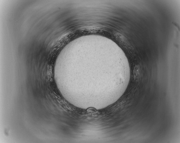 X0000102521062200808291752