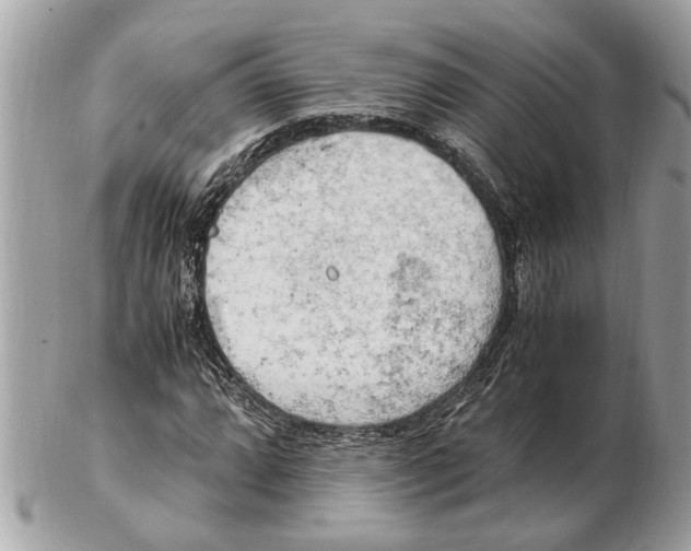 X0000102521064200808291752