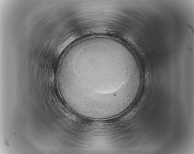 X0000102521065200808291752